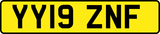 YY19ZNF