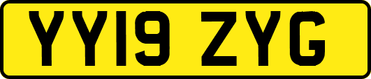 YY19ZYG