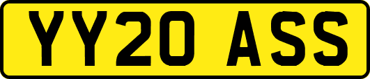 YY20ASS
