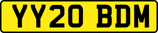 YY20BDM