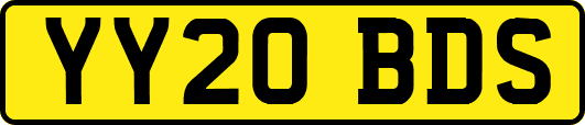 YY20BDS