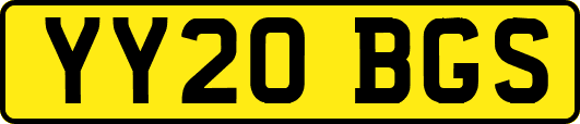 YY20BGS