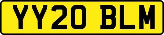 YY20BLM