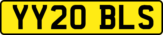 YY20BLS