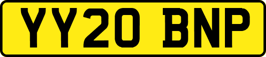 YY20BNP