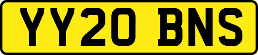 YY20BNS