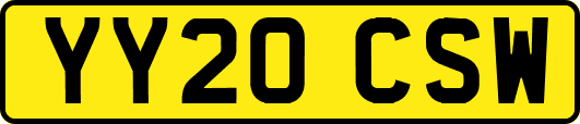 YY20CSW