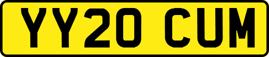 YY20CUM
