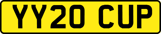 YY20CUP