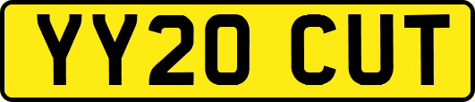 YY20CUT