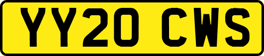YY20CWS
