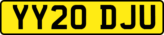 YY20DJU