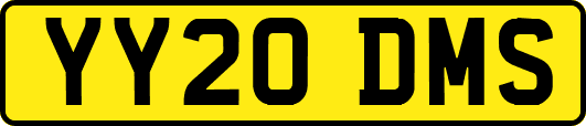 YY20DMS