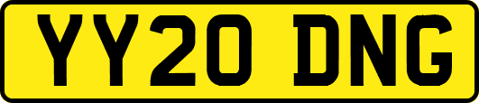 YY20DNG