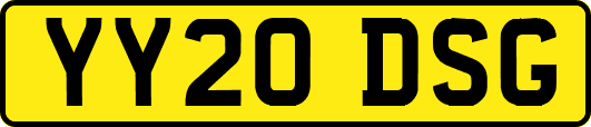 YY20DSG