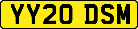 YY20DSM