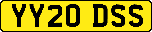 YY20DSS
