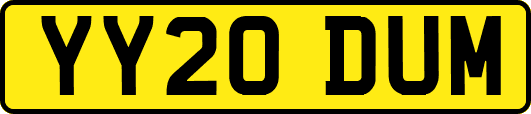 YY20DUM