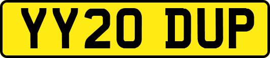 YY20DUP