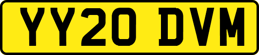 YY20DVM
