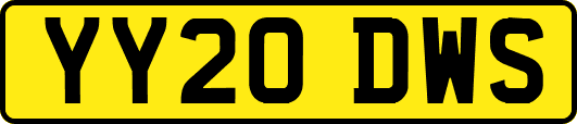 YY20DWS