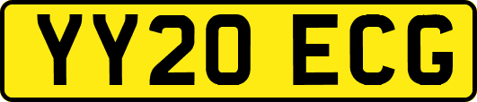 YY20ECG