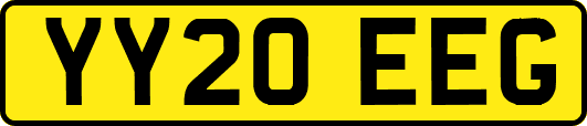 YY20EEG