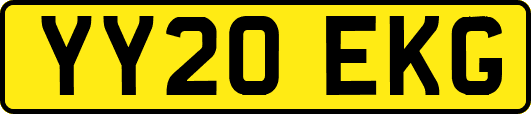YY20EKG