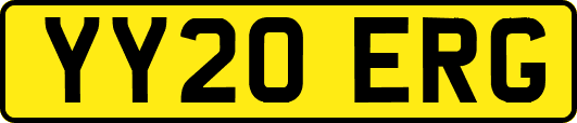 YY20ERG