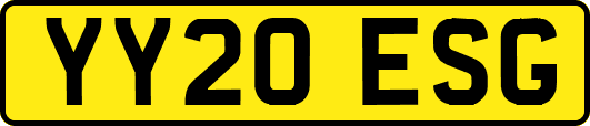 YY20ESG