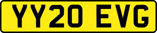 YY20EVG