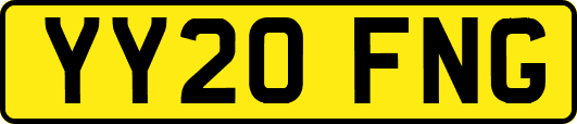 YY20FNG