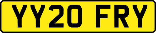 YY20FRY