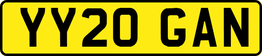 YY20GAN