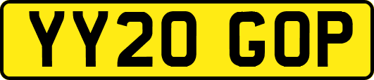 YY20GOP