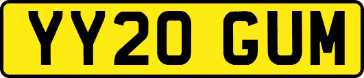 YY20GUM