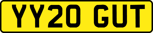 YY20GUT