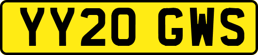 YY20GWS