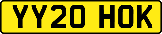 YY20HOK