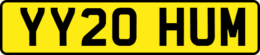 YY20HUM