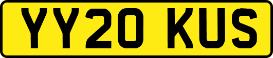 YY20KUS