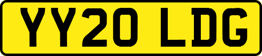 YY20LDG