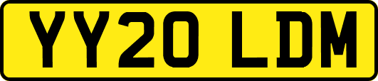 YY20LDM