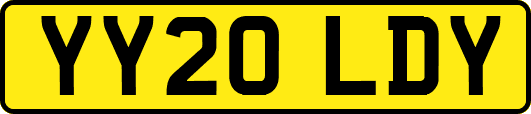 YY20LDY