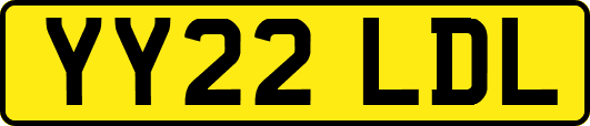 YY22LDL