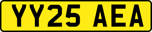 YY25AEA