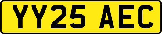 YY25AEC