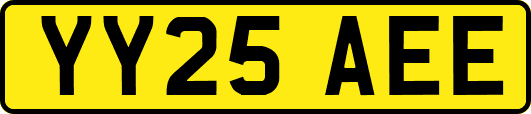 YY25AEE