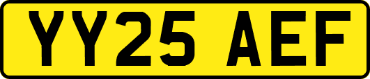 YY25AEF