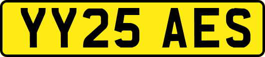 YY25AES